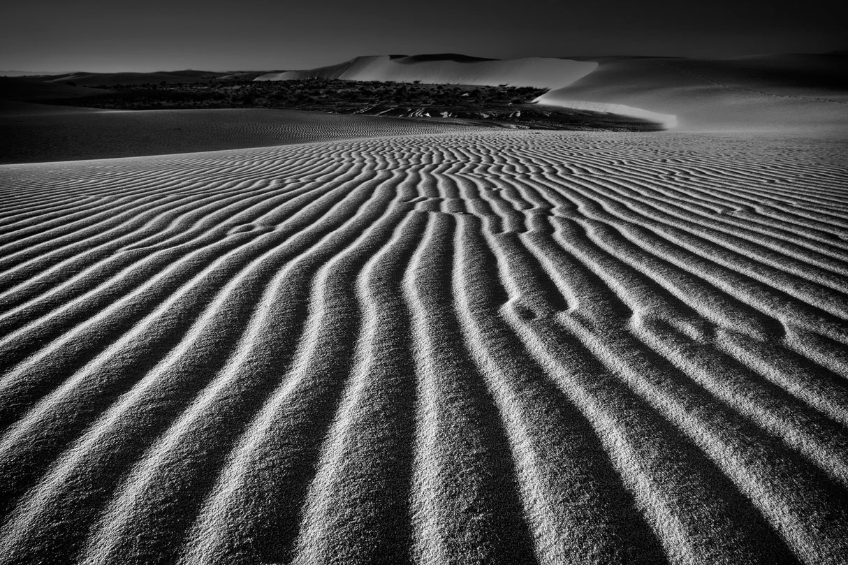 Wind Combed Sand Poster och Canvastavla