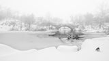 The first snow of central park Poster och Canvastavla