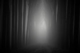 Beyond the light Poster och Canvastavla