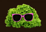 Mr Salad Poster och Canvastavla