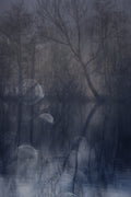 at dawn Poster och Canvastavla