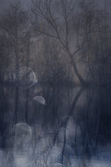 at dawn Poster och Canvastavla