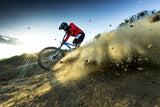 Downhill Poster och Canvastavla