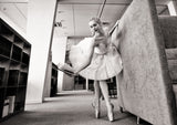 ballerina on pointe shoes in the library reads a book holding it up Poster och Canvastavla
