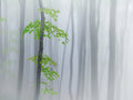 the fog and leaves Poster och Canvastavla