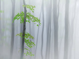 the fog and leaves Poster och Canvastavla