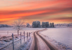 Rural winter scene Poster och Canvastavla
