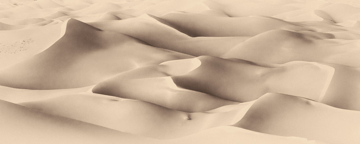 Art of sand III Poster och Canvastavla