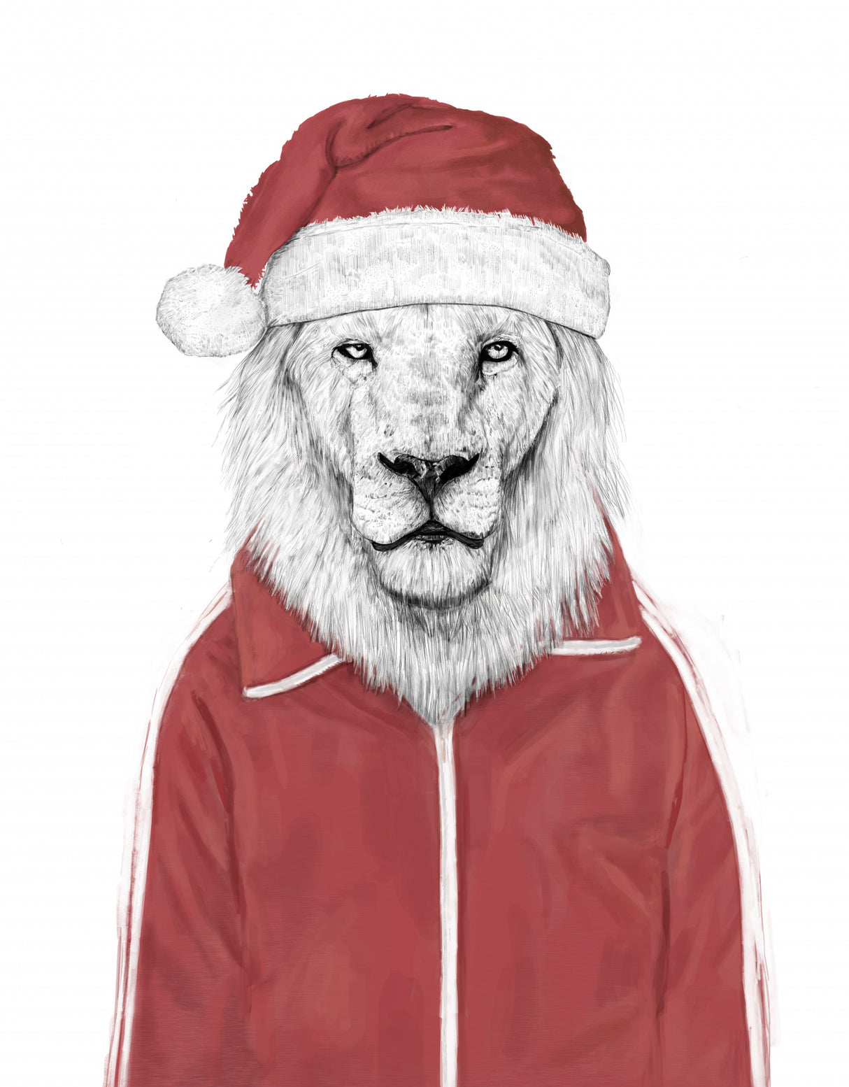 Santa lion Poster och Canvastavla