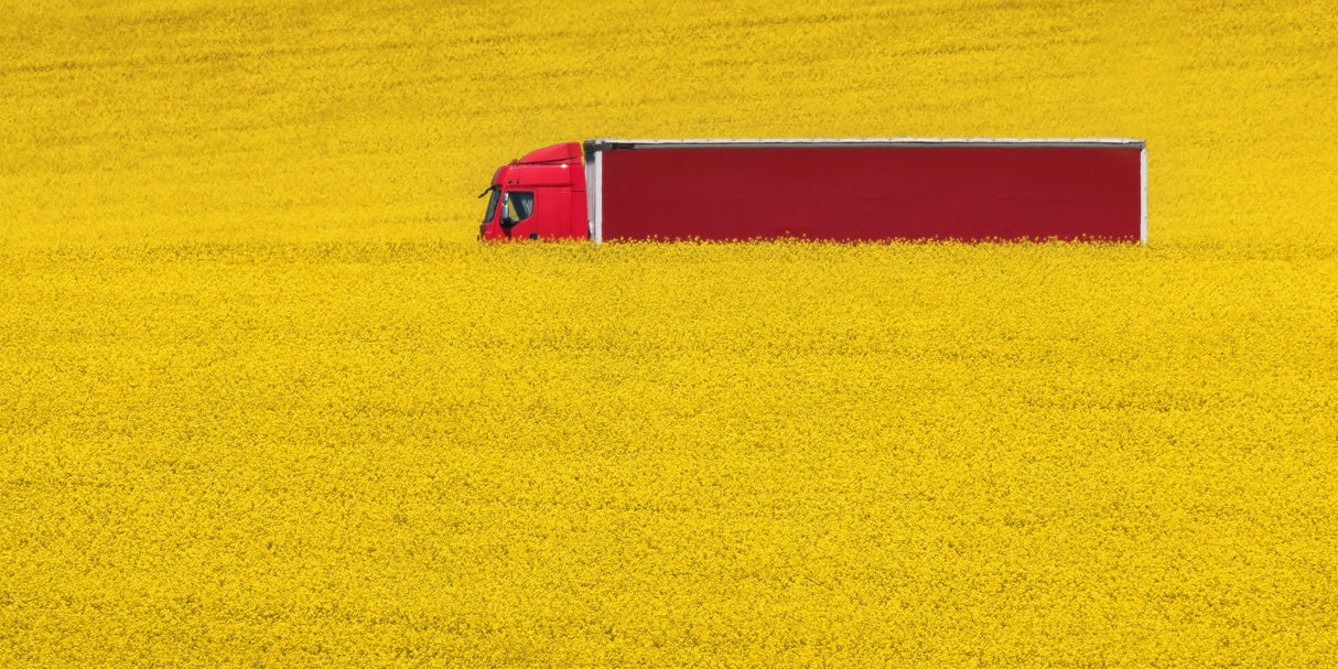 Red &amp; yellow Poster och Canvastavla