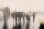 Shadows in Winter Poster och Canvastavla