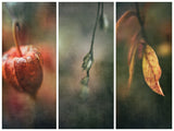 Autumn Impression Poster och Canvastavla