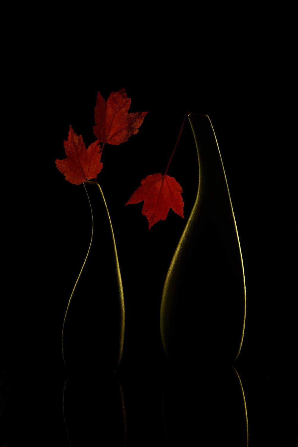 Autumn color Poster och Canvastavla