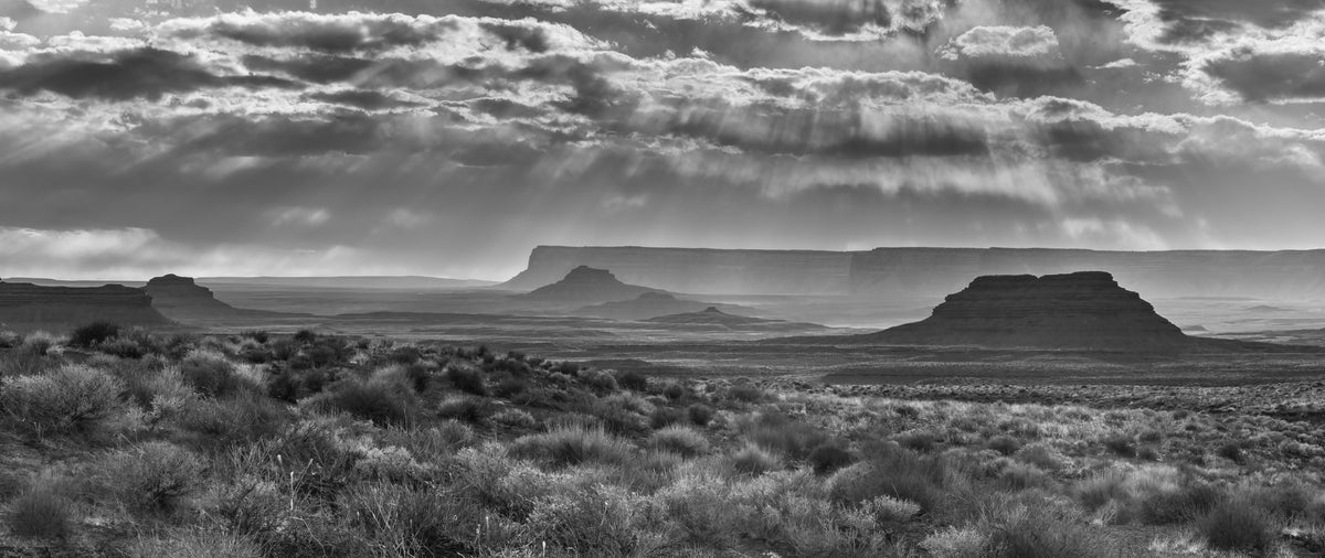 American West Poster och Canvastavla