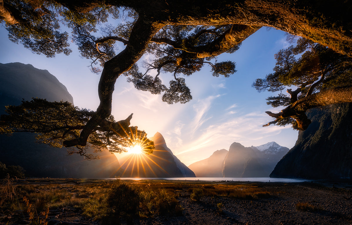 Sunny Day in Milford Sound Poster och Canvastavla