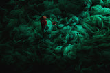 The Green Field Poster och Canvastavla