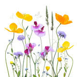 Floral Garden Poster och Canvastavla