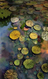Lily Pads Poster och Canvastavla