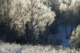 Cold morning Poster och Canvastavla