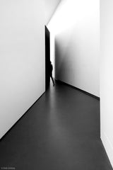 The unknown museumvisitor Poster och Canvastavla