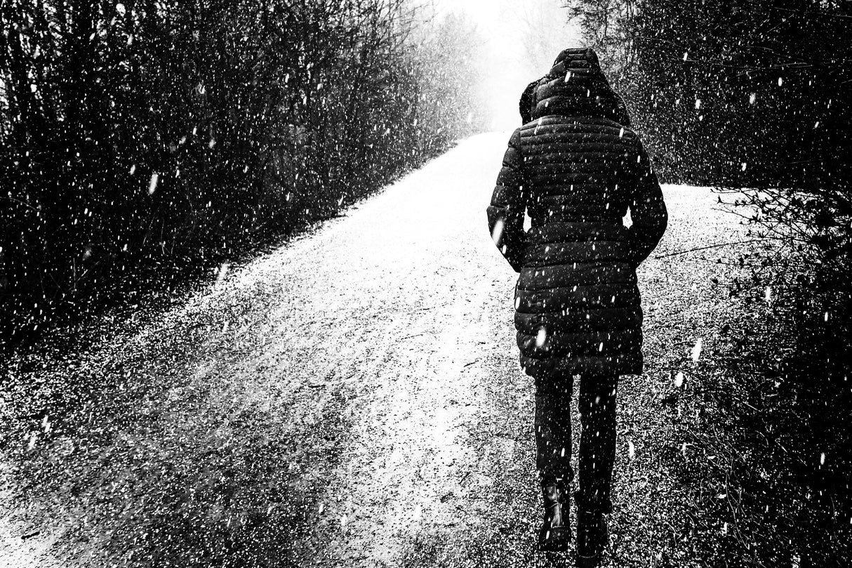 In the snow Poster och Canvastavla