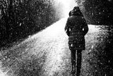 In the snow Poster och Canvastavla