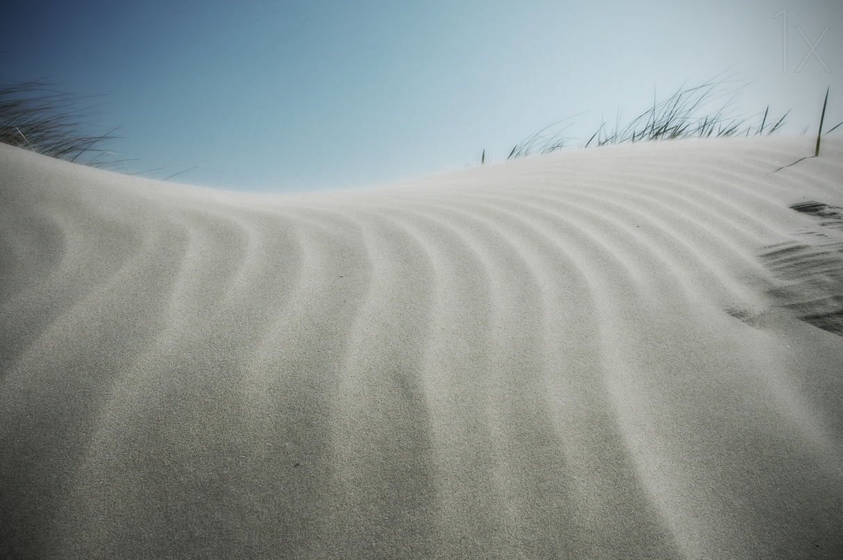 Sandwaves... Poster och Canvastavla
