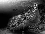 Sunken Yacht of Abu Galawa Poster och Canvastavla