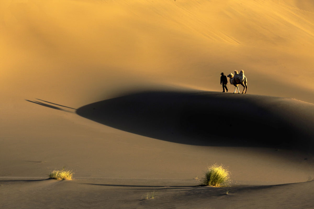 Yellow sand Poster och Canvastavla