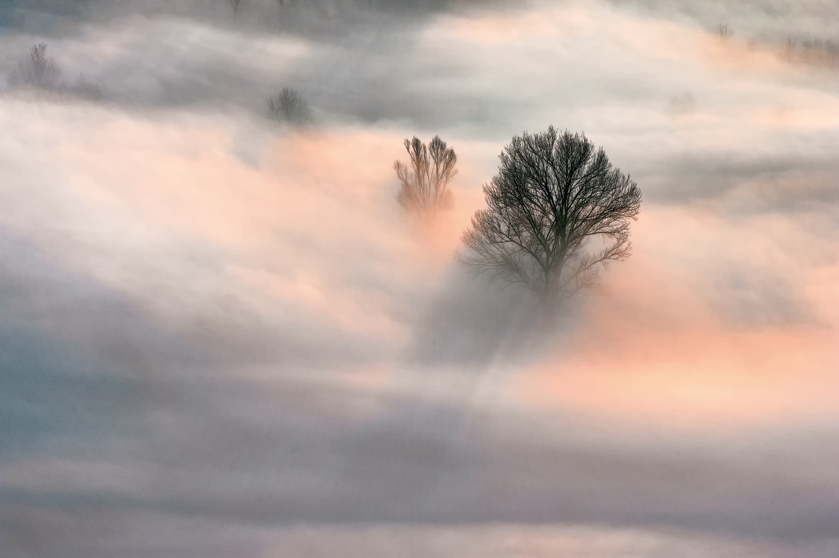 Sunrise in the Fog Poster och Canvastavla