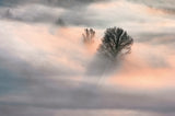 Sunrise in the Fog Poster och Canvastavla