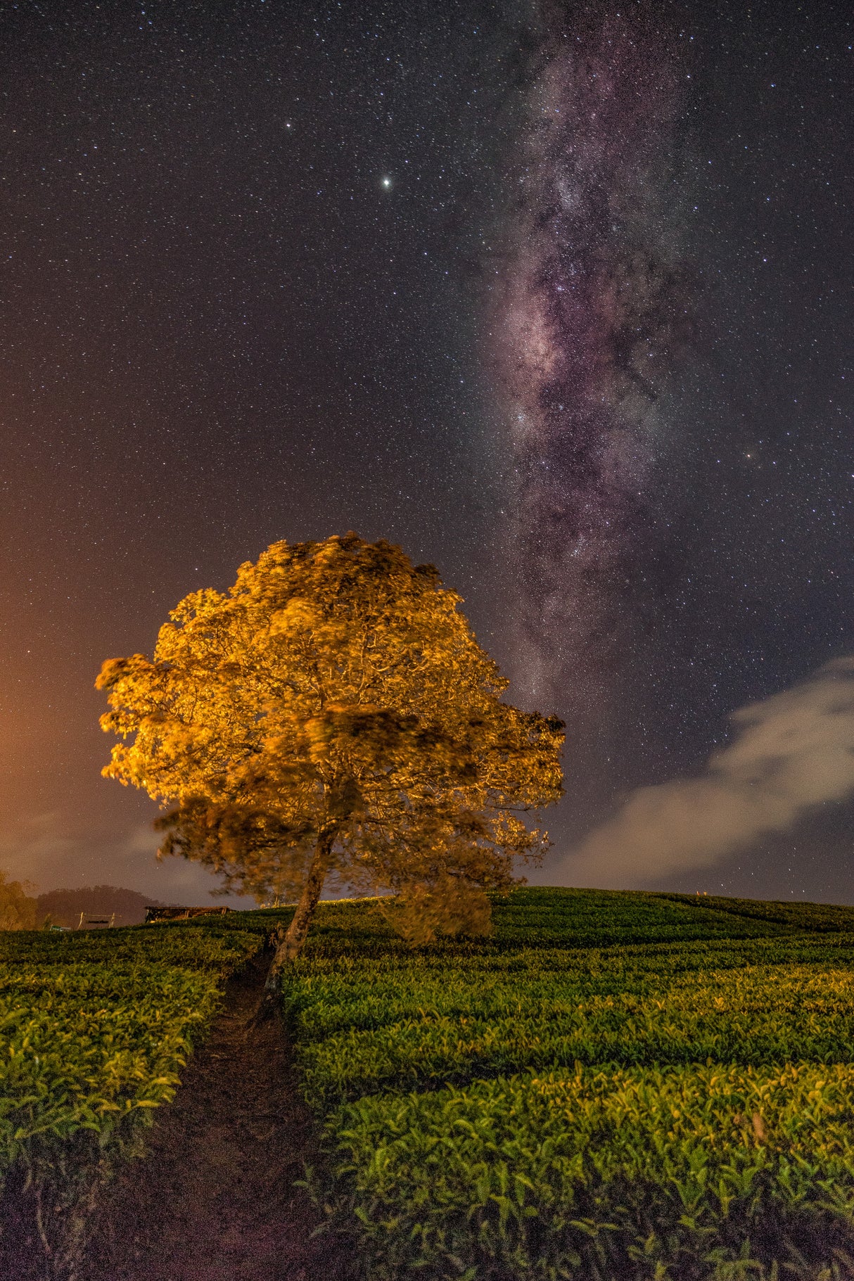 milky way Poster och Canvastavla