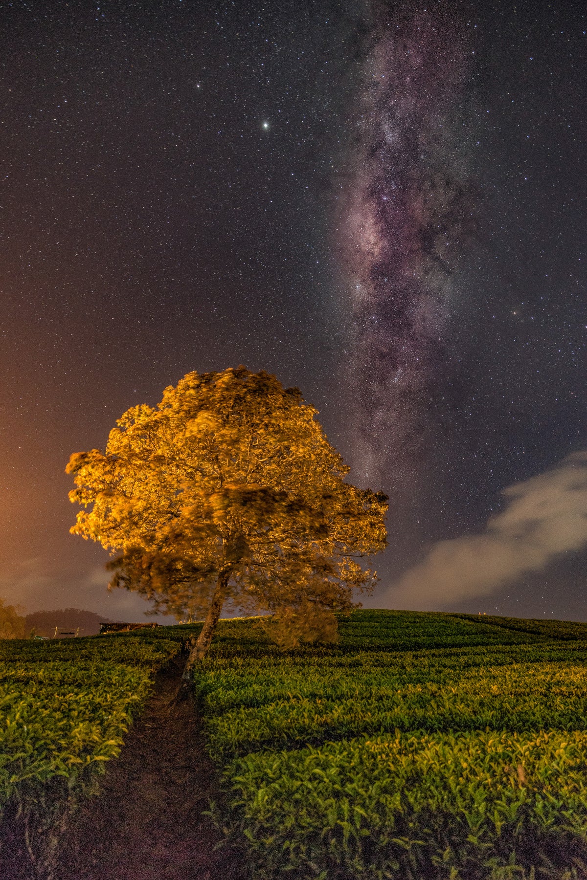 milky way Poster och Canvastavla