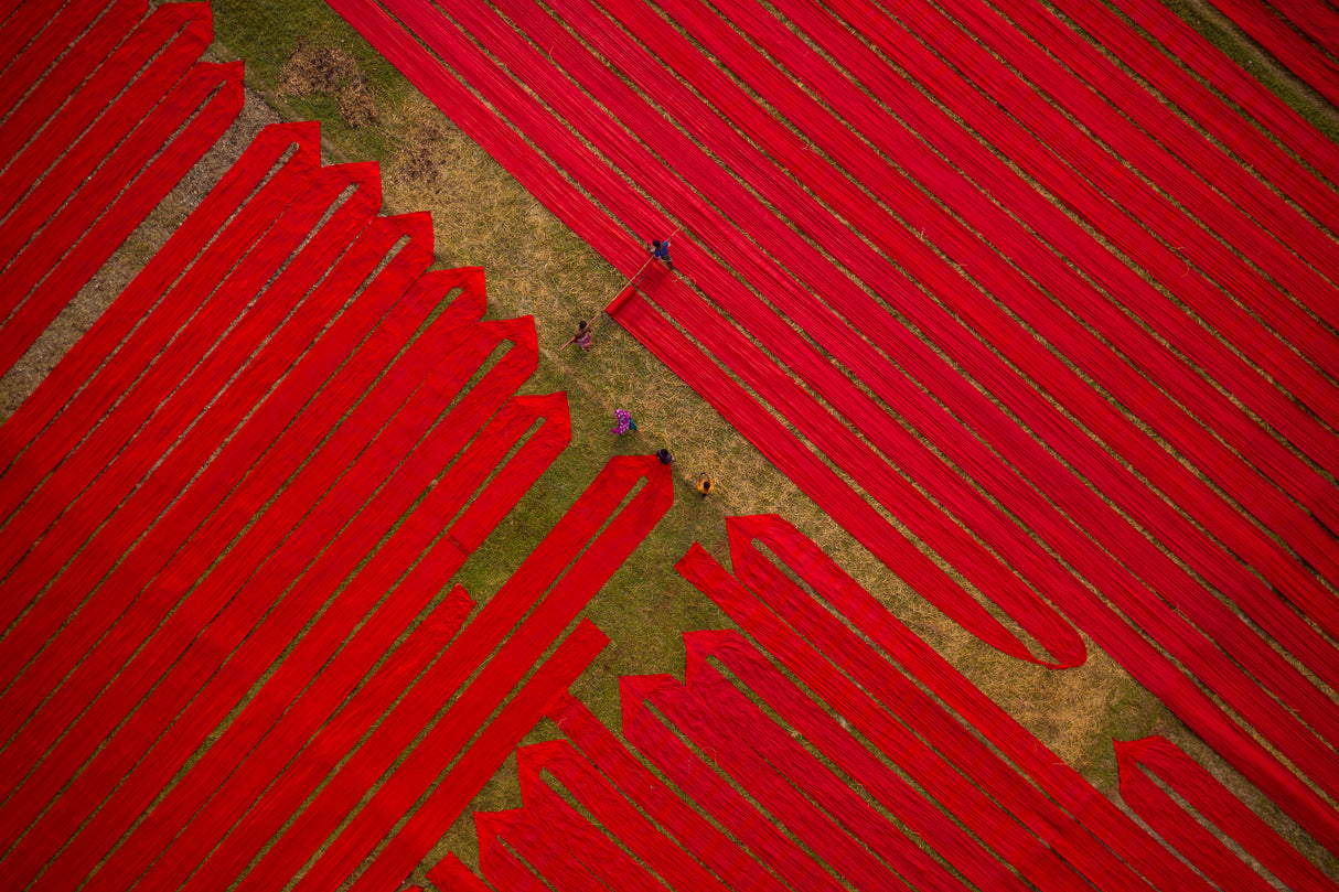 Red cloths Poster och Canvastavla