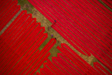 Red cloths Poster och Canvastavla