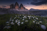 Tre Cime Poster och Canvastavla