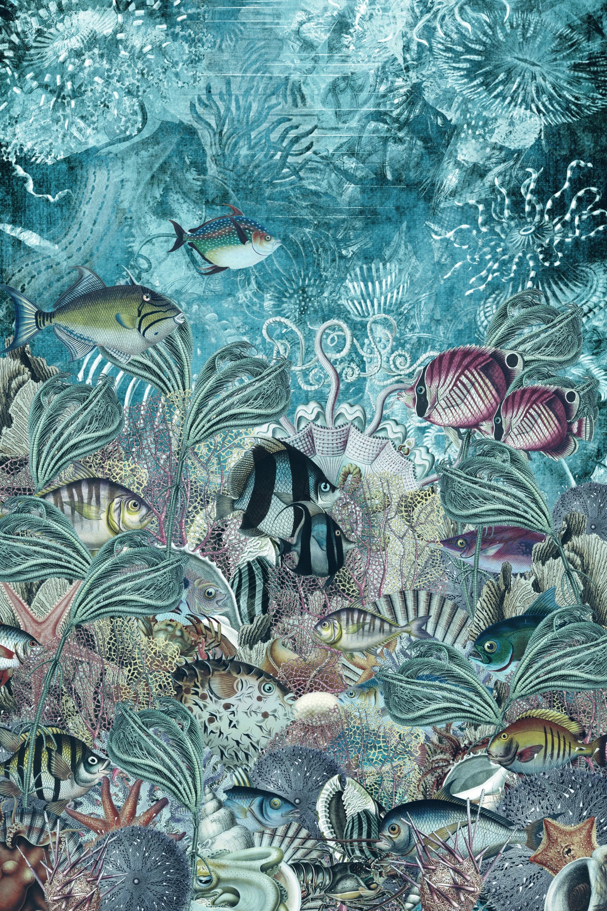 School of Fish (Collective Nouns) Poster och Canvastavla