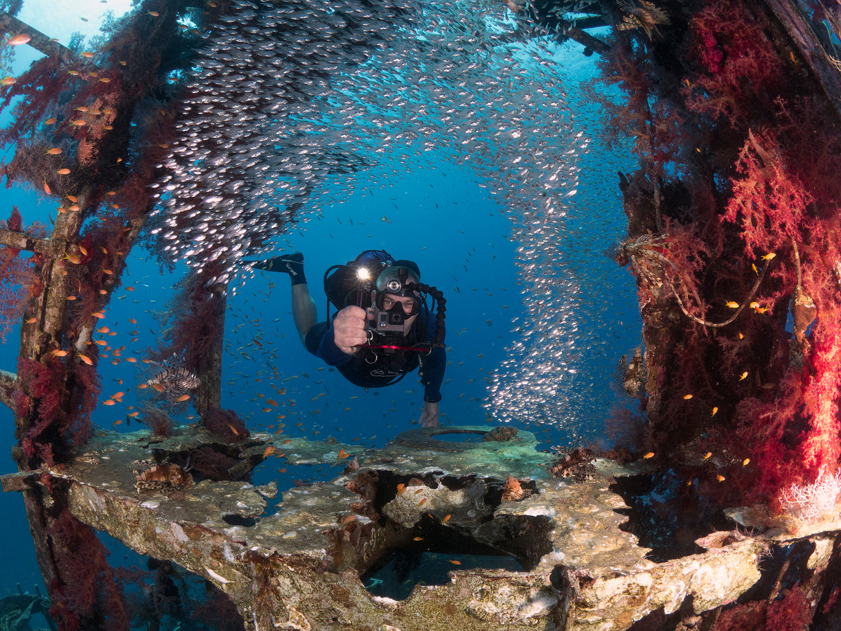 Diver and Pygmy Sweepers Poster och Canvastavla