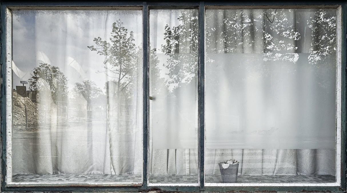 Reflective window Poster och Canvastavla