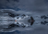 Paradise Bay of Antarctica Poster och Canvastavla