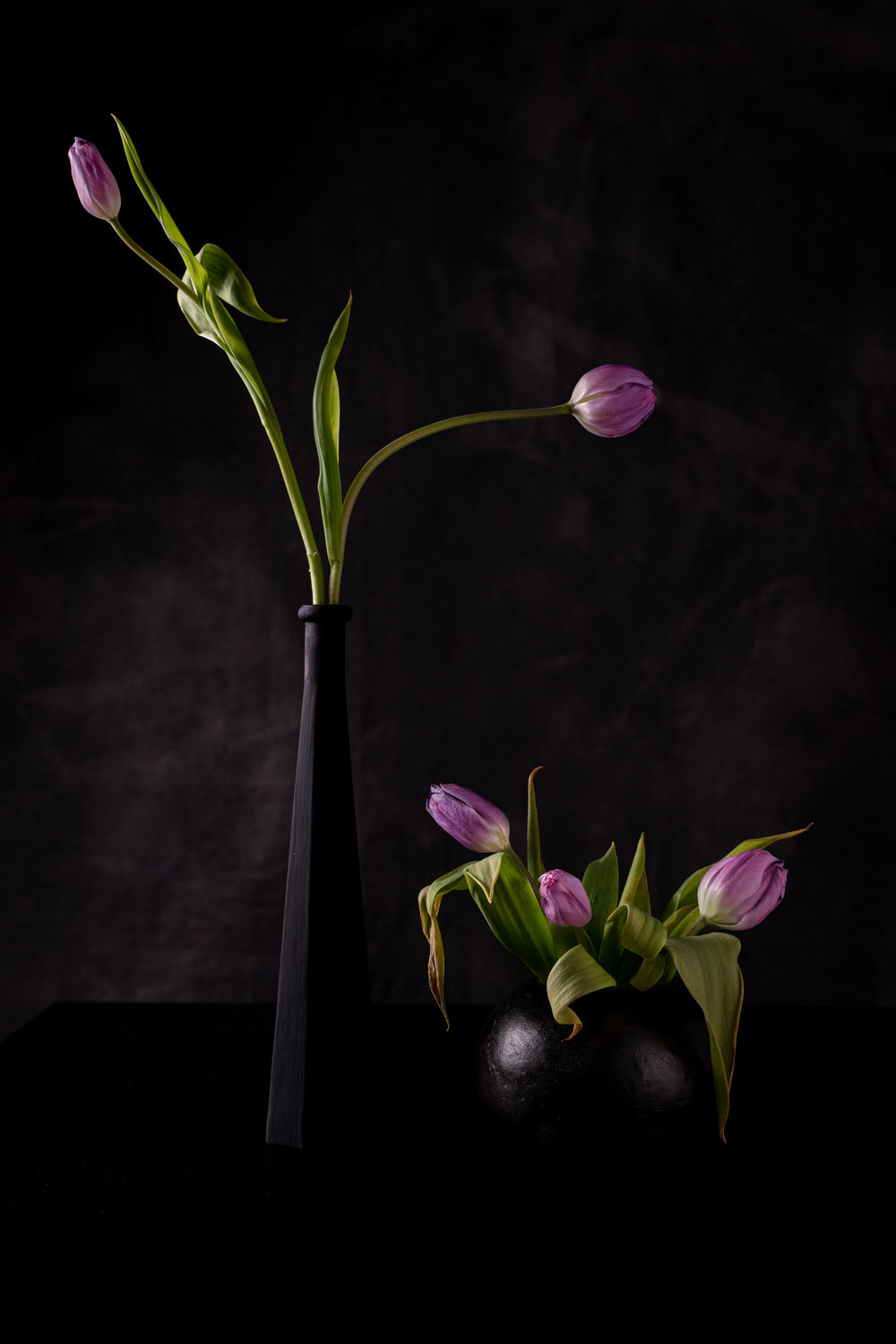 Still life with five pink tulips Poster och Canvastavla