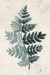 Teal watercolor fern 2 Poster och Canvastavla