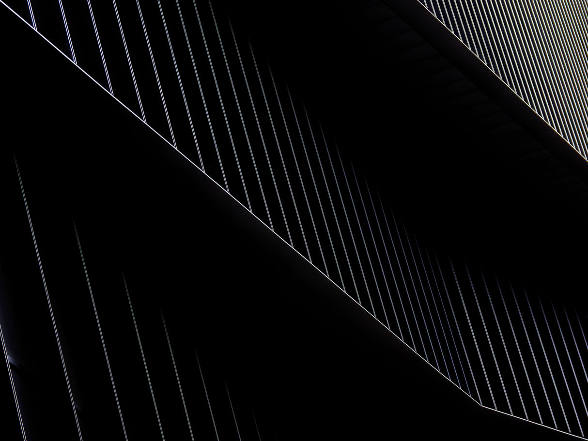 sliding down Poster och Canvastavla