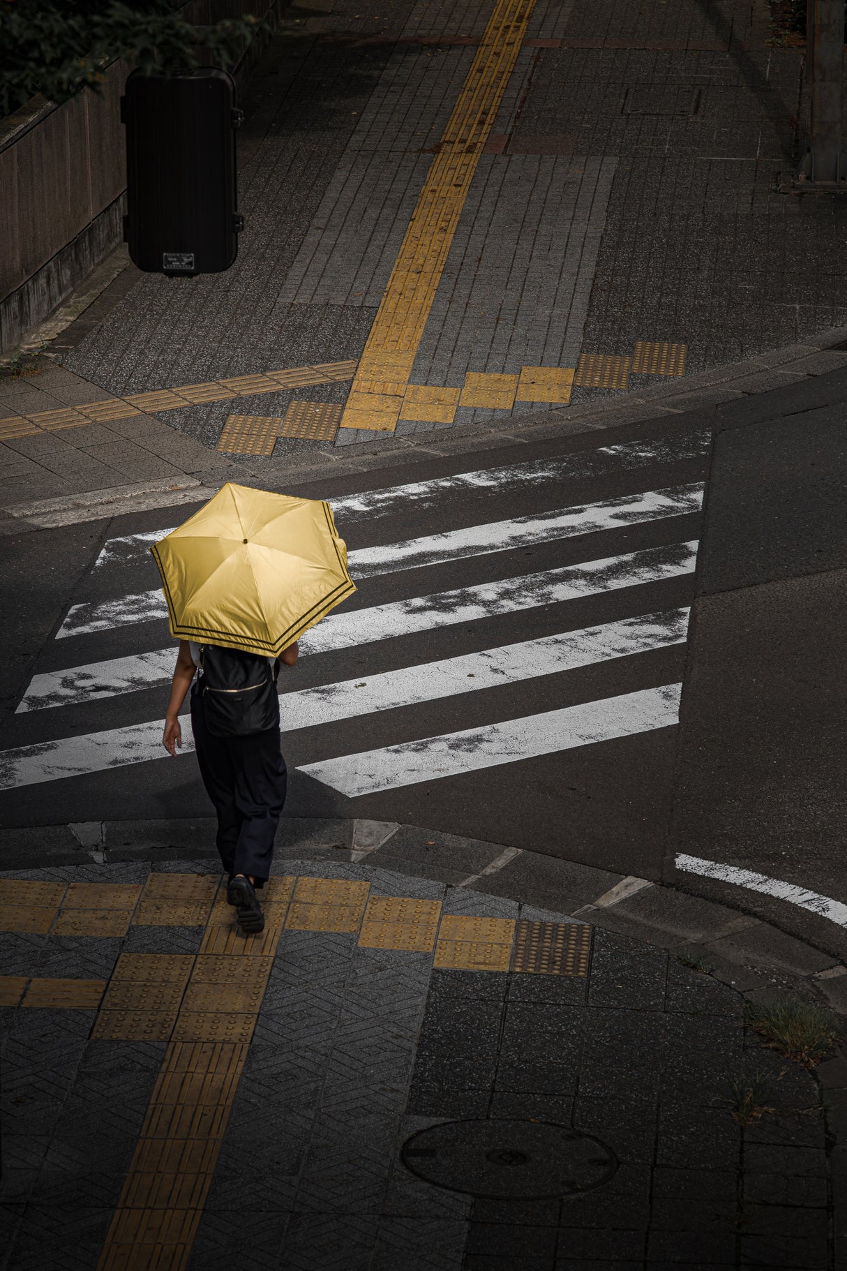 Yellow umbrella Poster och Canvastavla