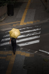 Yellow umbrella Poster och Canvastavla