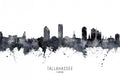 Tallahassee Florida Skyline Poster och Canvastavla