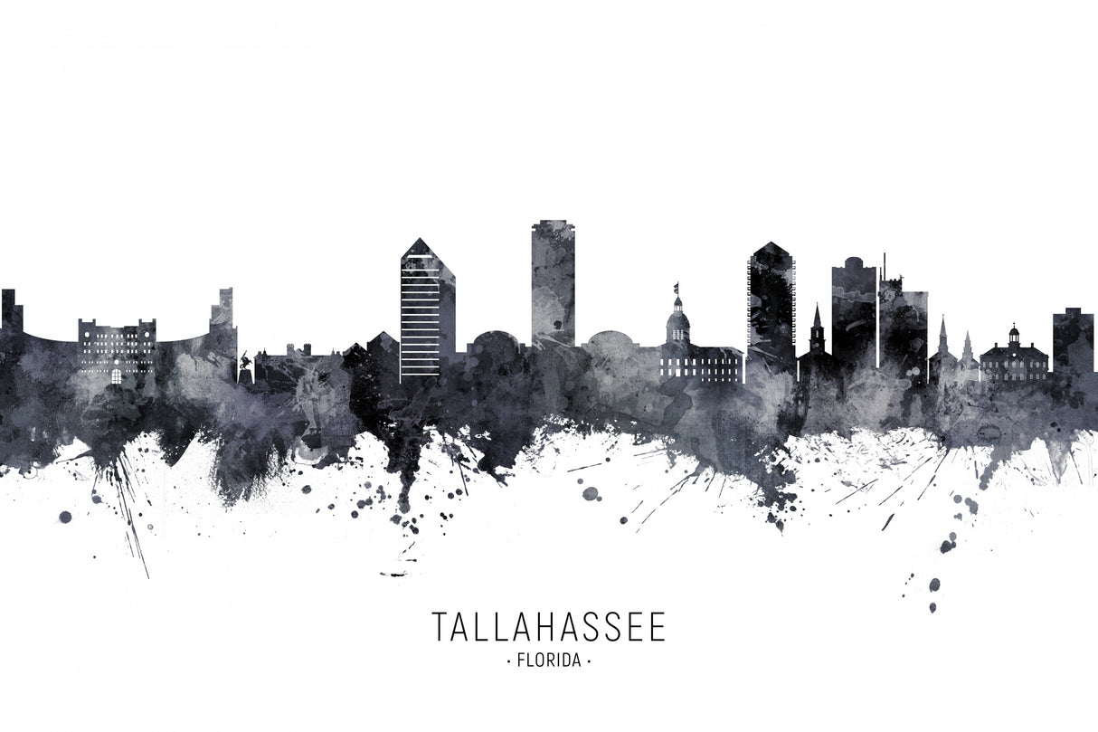 Tallahassee Florida Skyline Poster och Canvastavla