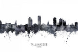 Tallahassee Florida Skyline Poster och Canvastavla