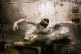'...the dying swan...' Poster och Canvastavla