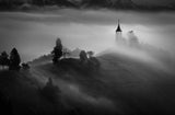 Out of the Mist Poster och Canvastavla